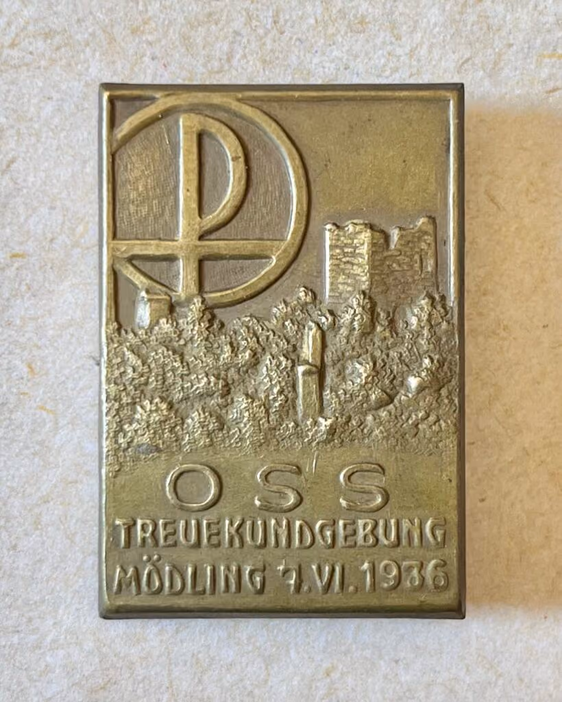 OSS - Ostmärkische Sturmscharen - Treukundgebung Mödling 7.6.1936