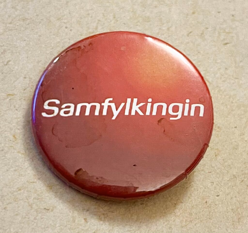 Samyflykingin - Sozialdemokratische Allianz
