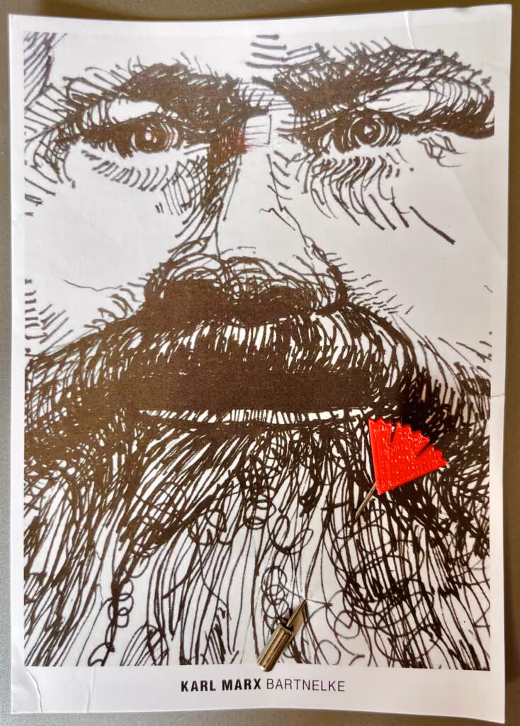 Karl Marx - Bartnelke