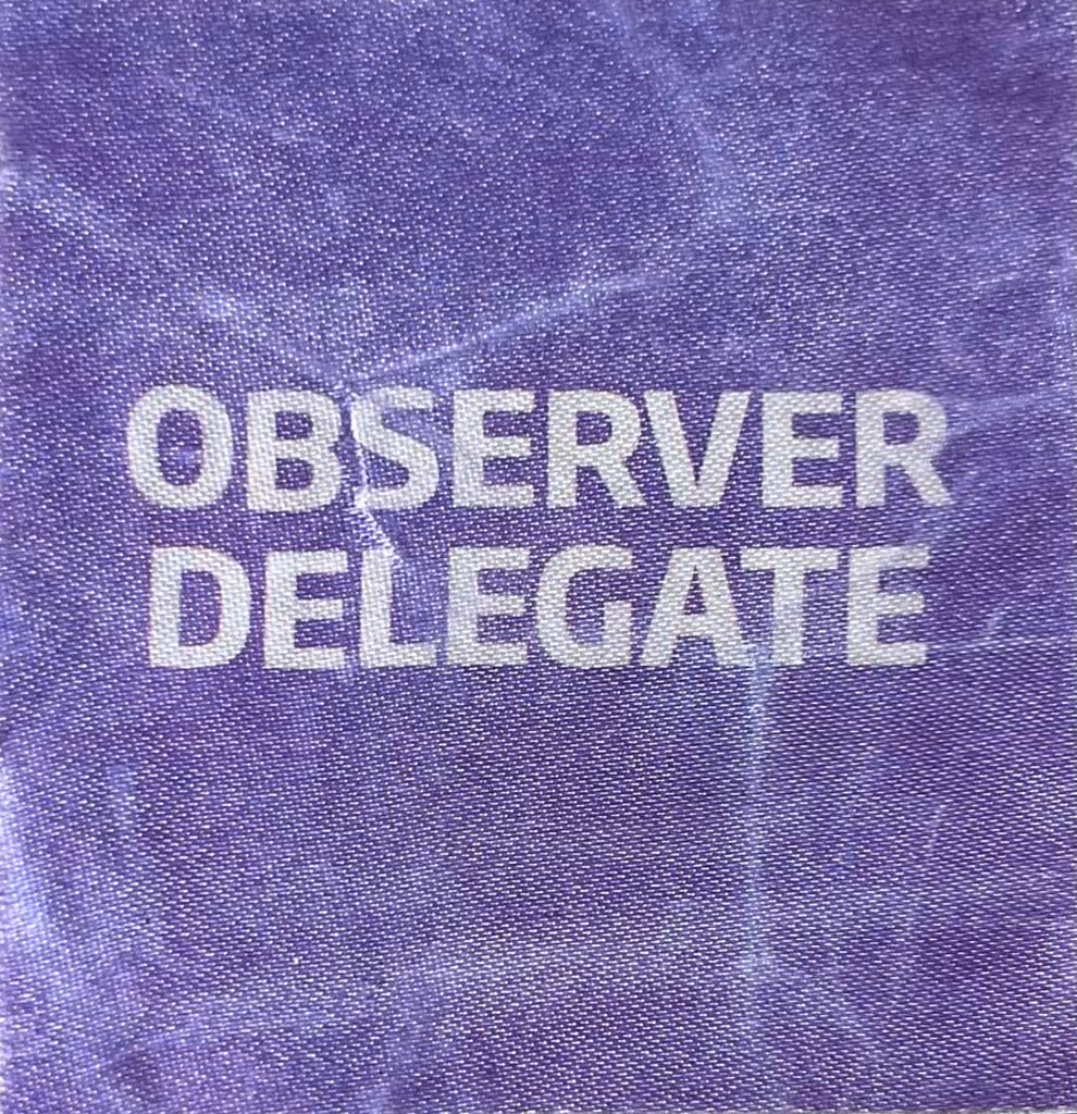 13. EGB-Kongress - Beobachtender Delegierter