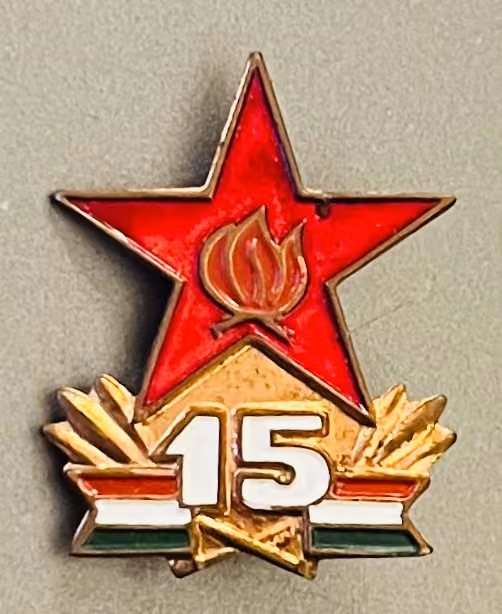 15 Jahre ungarischer Pionierverband