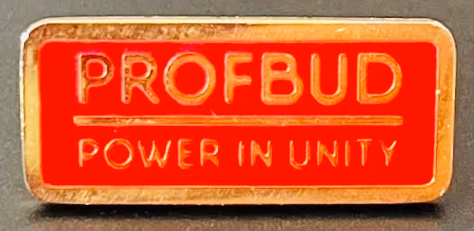 Profbud - Power is Unity