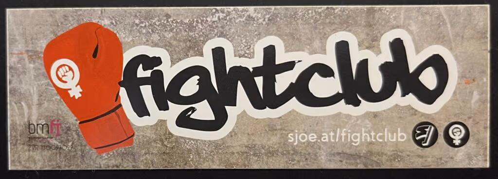 SJÖ-Frauen - Fightclub