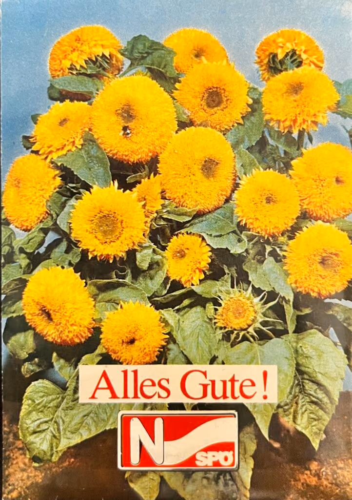 SPÖ-NÖ - Alles Gute!