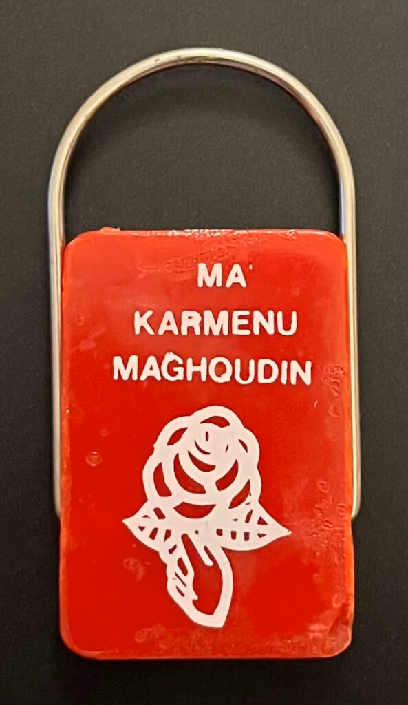 Malta Labour Party - Mit Karmen Maghqudin