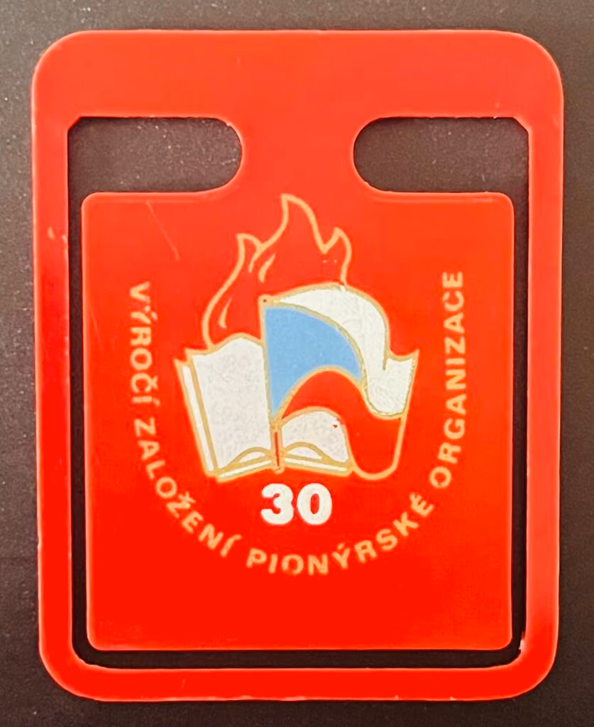 30. Jahrestag der Gründung des Pionierverbandes