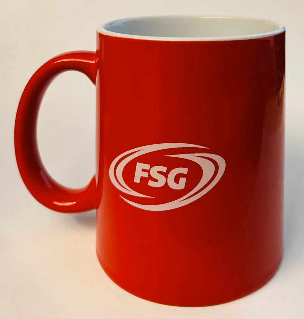 FSG - Fraktion Sozialdemokratischer GewerkschafterInnen