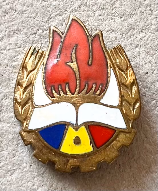 Pionierorganisation