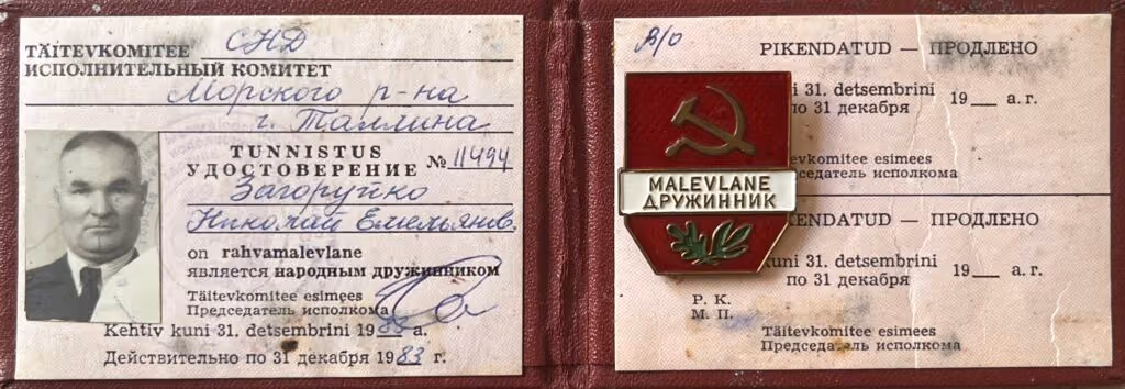 Freiwillige Volksmiliz Druschina