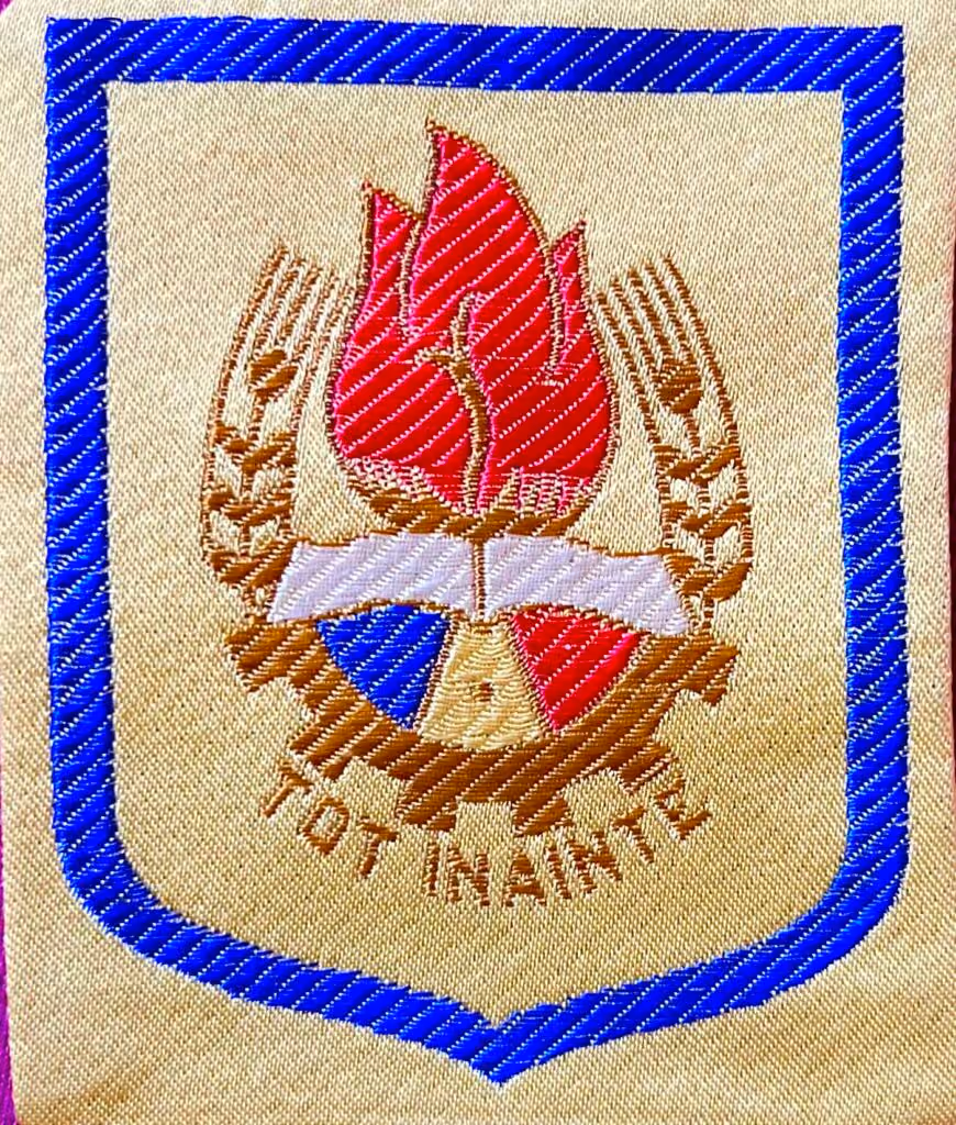 Pionierorganisation