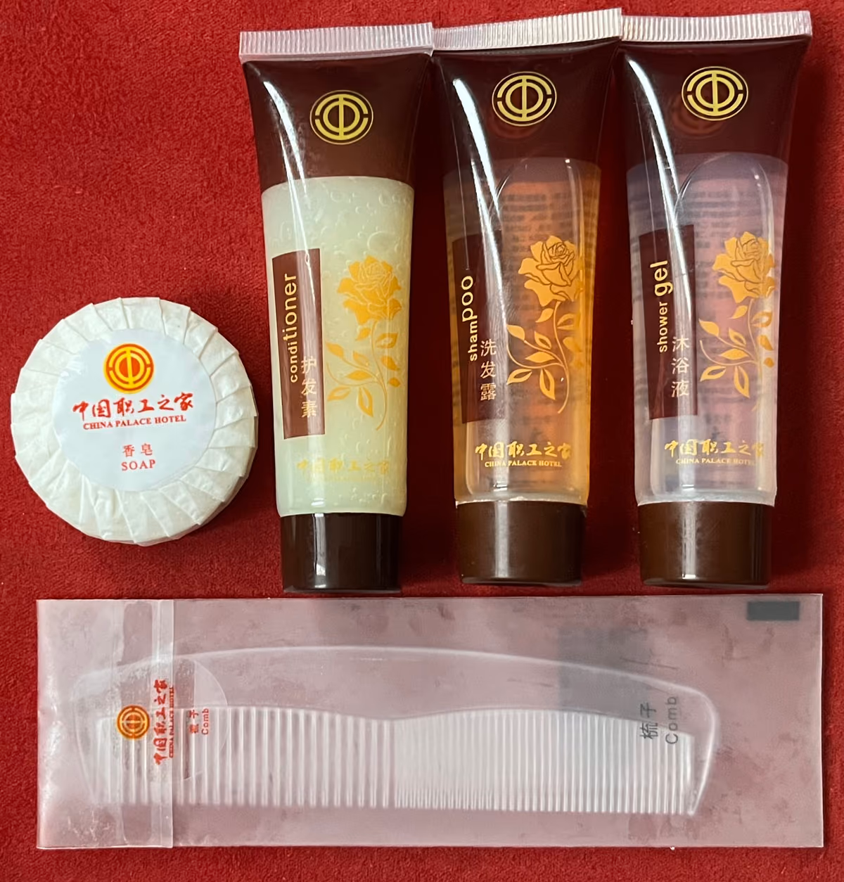 ACFTU - Gewerkschaftstourismus - China Palace Hotel
