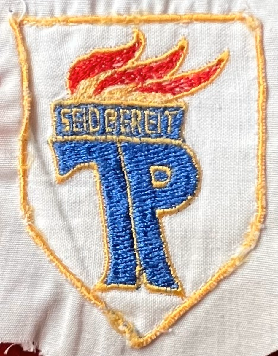 Thälmannpioniere