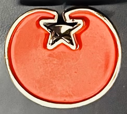Sozialistische Partei