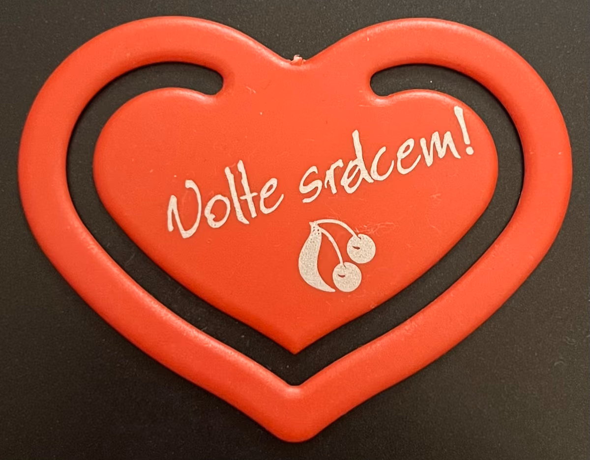 KSCM - Wählen mit Herz!
