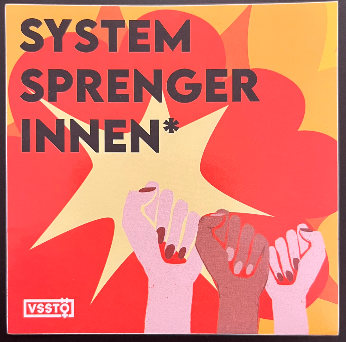 VSSTÖ - SystemsprengerInnen