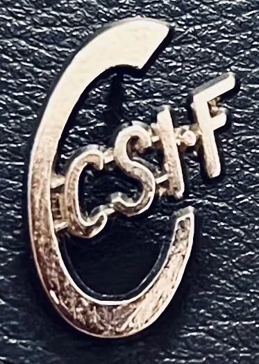 CSI-F - Zentrale der unabhängigen Gewerkschaft und der Beamten
