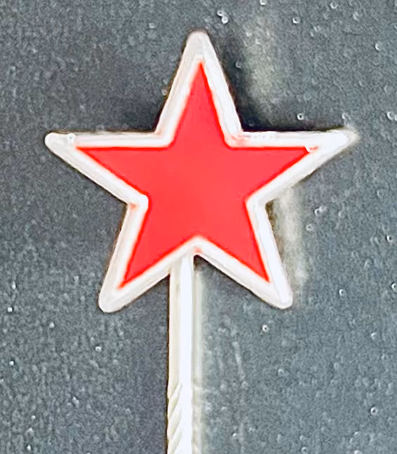 Thälmannpioniere - Roter Stern
