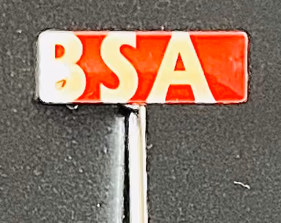 BSA - Bund Sozialdemokratischer AkademikerInnen