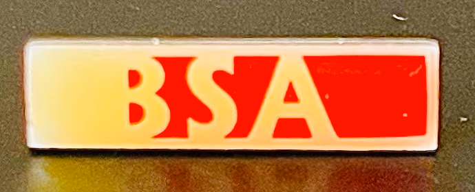 BSA - Bund Sozialdemokratischer AkademikerInnen
