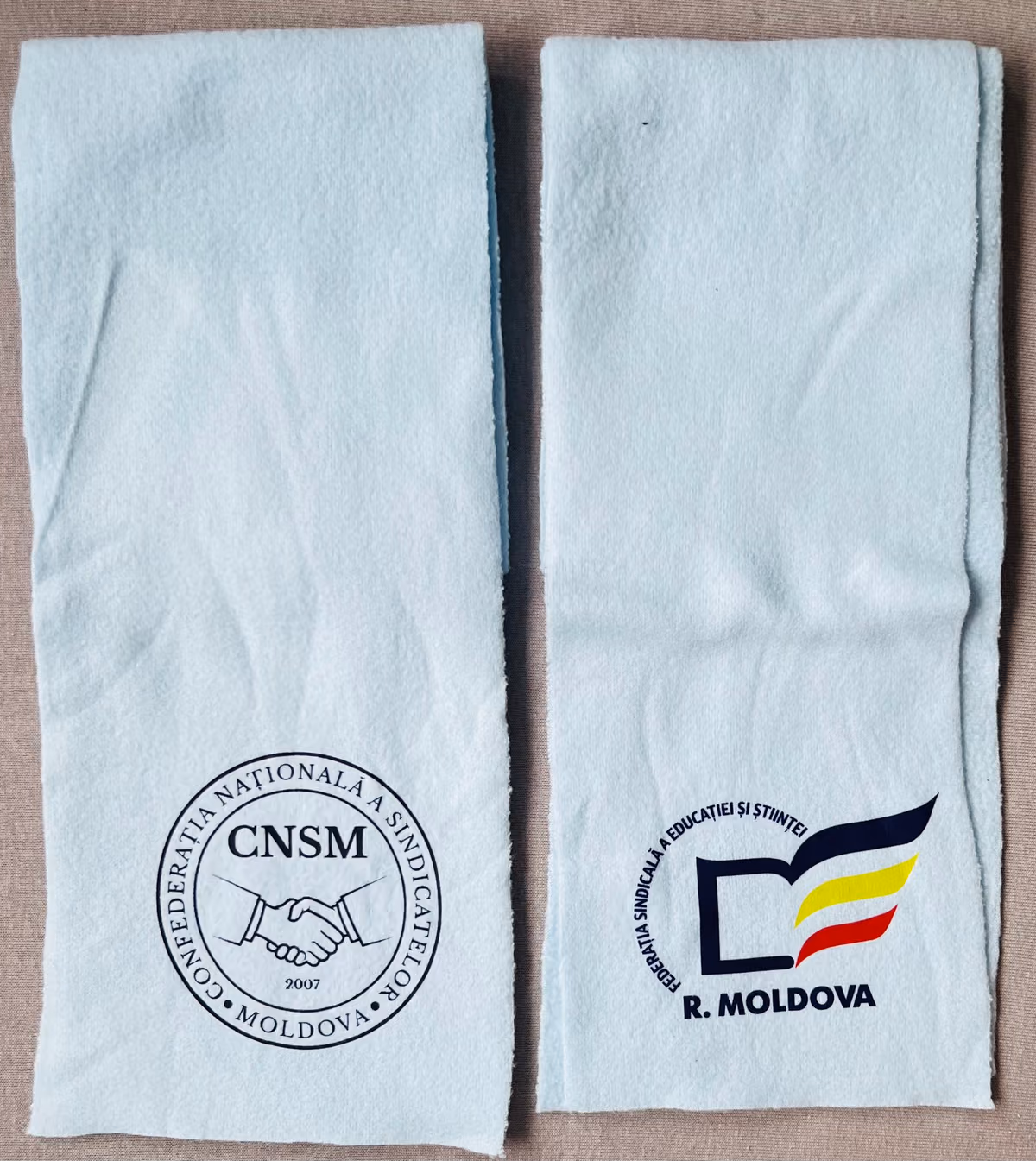 CNSM - Gewerkschaftsbund für Bildung und Wissenschaft der Repubik Moldau