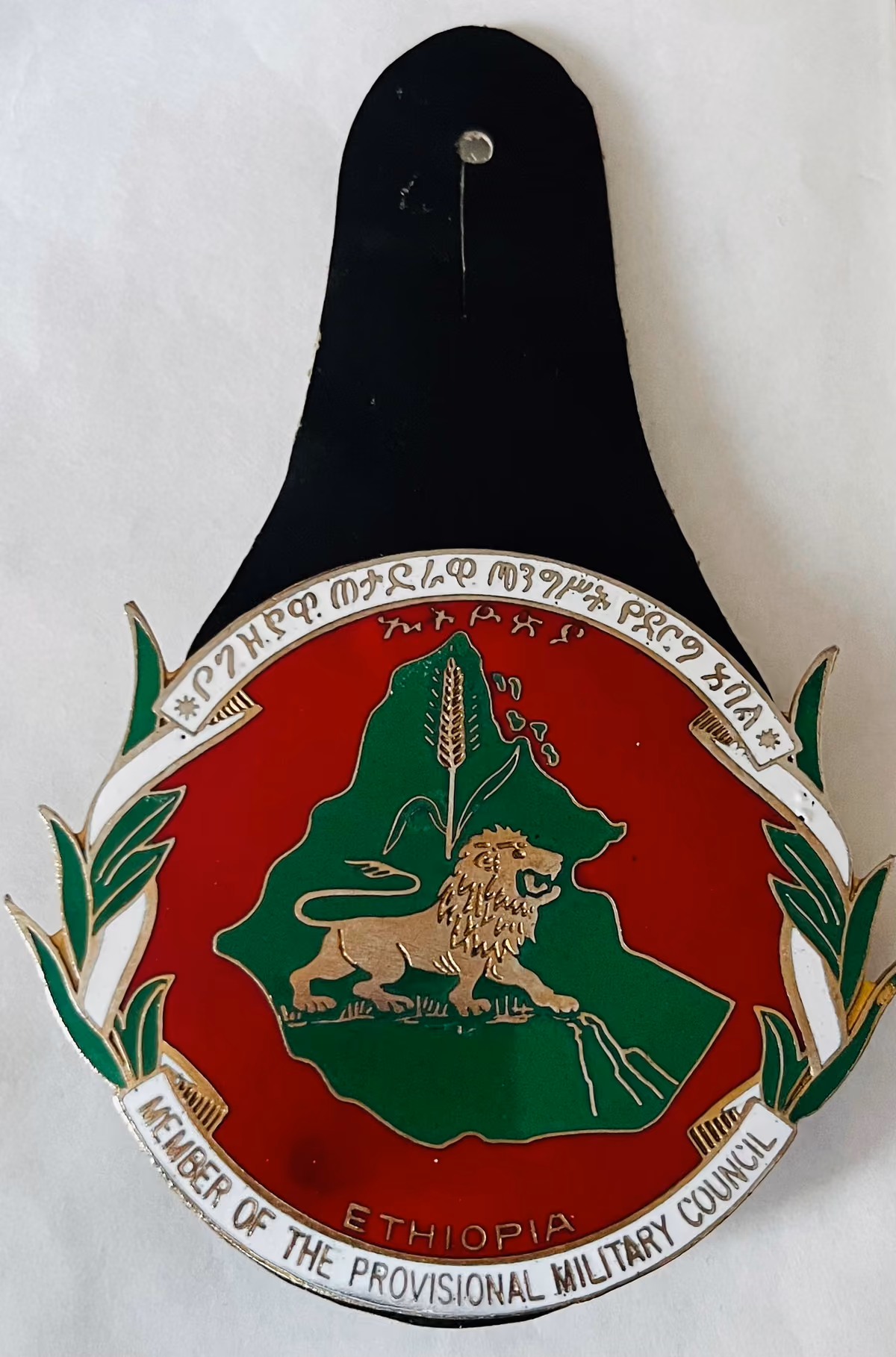Member of the Provisional Military Council
