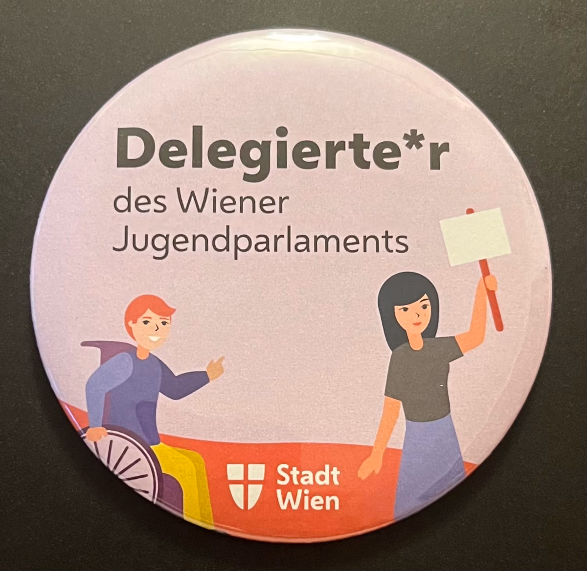 Stadt Wien - Delegierte*r des Wiener Jugendparlaments