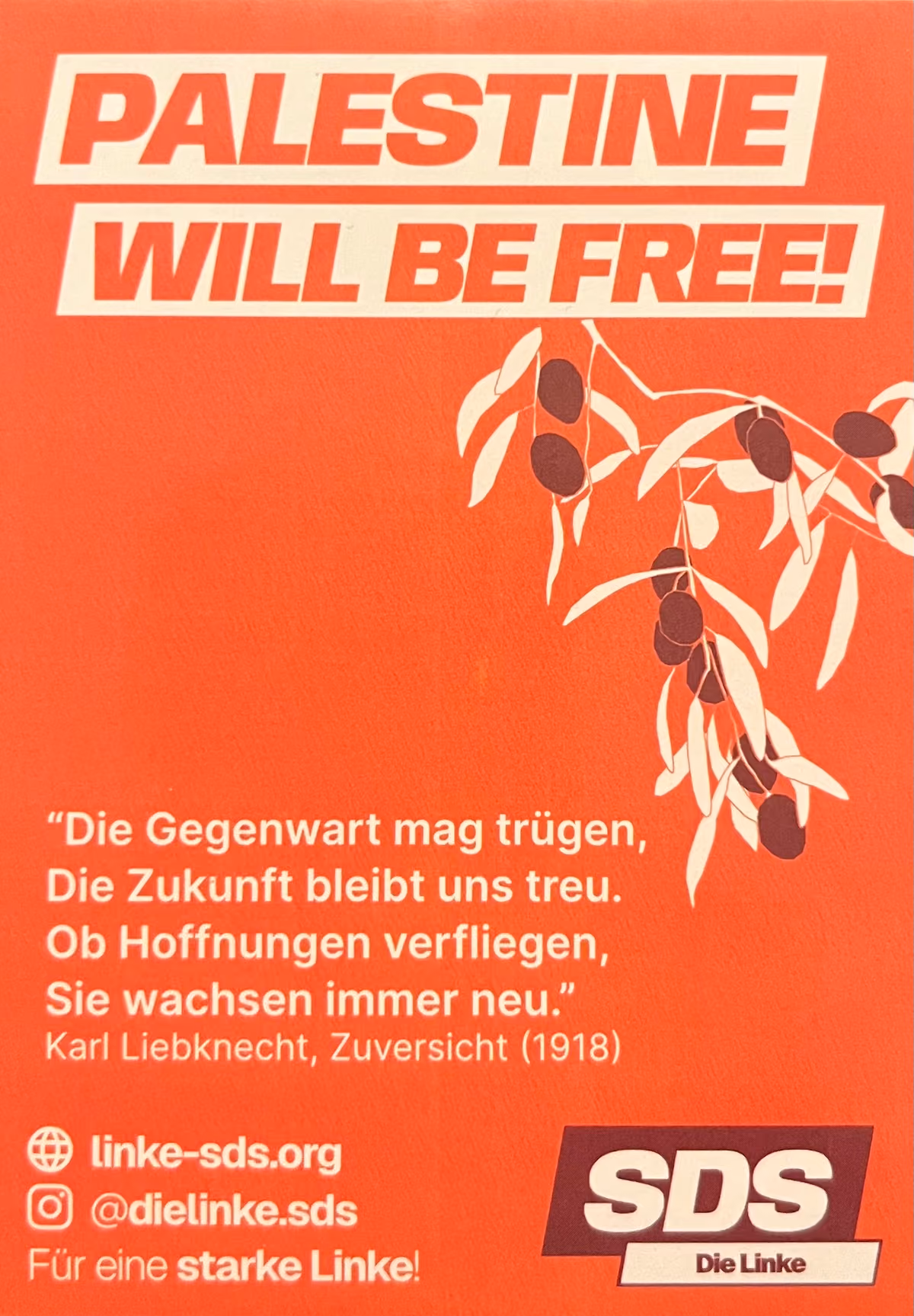 SDS-Die Linke - Palestine will be free!