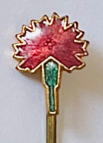 Rote Nelke