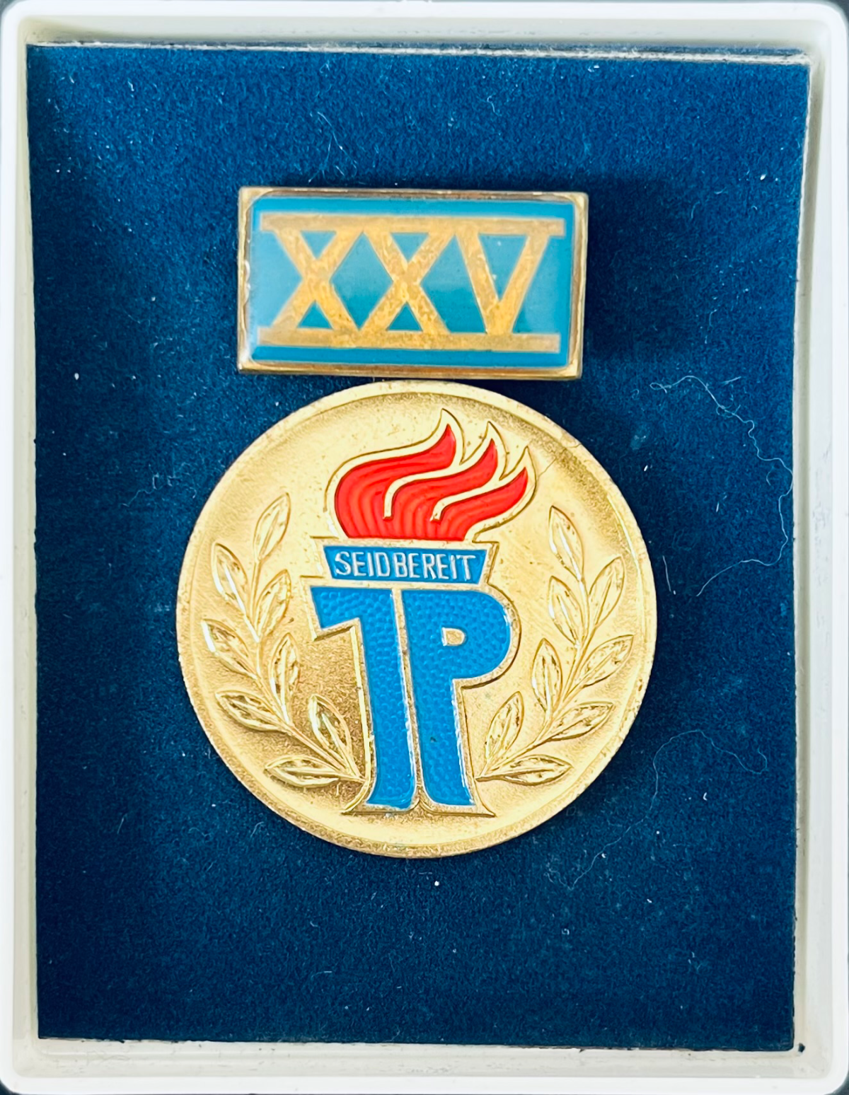 Thälmann-Pioniere - 25 Jahre Pionierorganisation